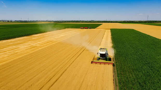 Farmer-topaz-enhance-2.3x